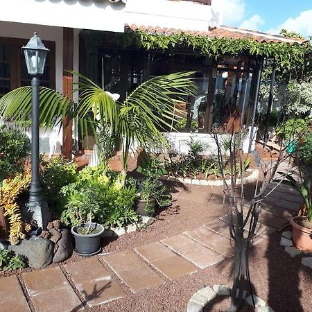 Apartamento Tranquilo En Una Casa Con Jardin Ла Лагуна Екстериор снимка