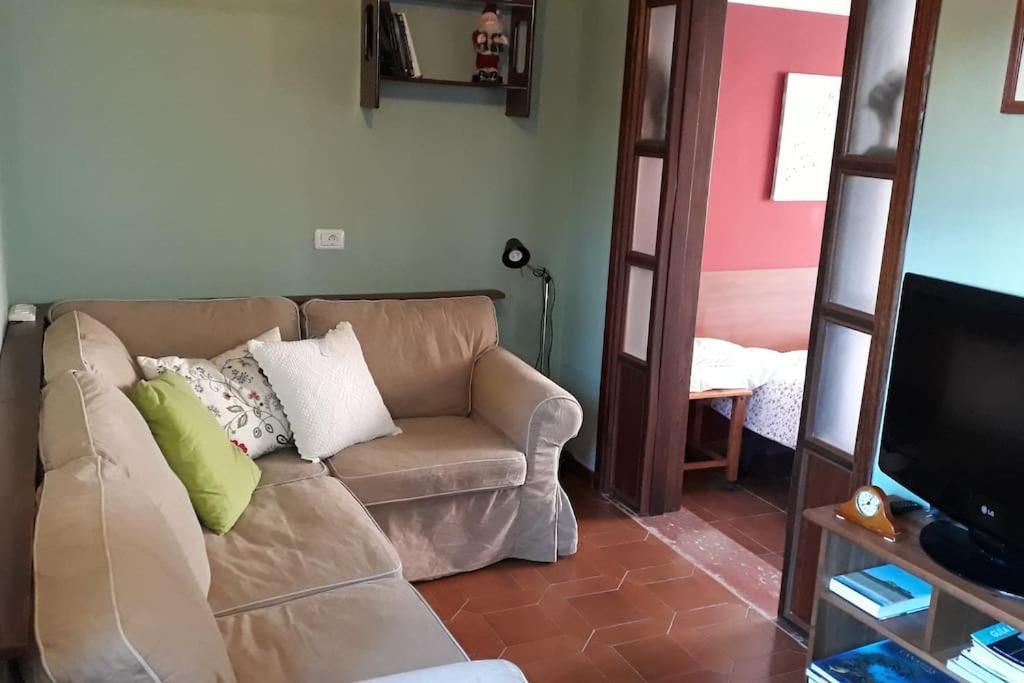 Apartamento Tranquilo En Una Casa Con Jardin Ла Лагуна Екстериор снимка