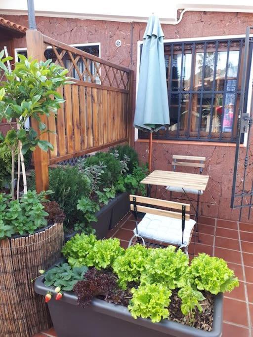 Apartamento Tranquilo En Una Casa Con Jardin Ла Лагуна Екстериор снимка