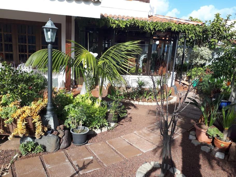 Apartamento Tranquilo En Una Casa Con Jardin Ла Лагуна Екстериор снимка